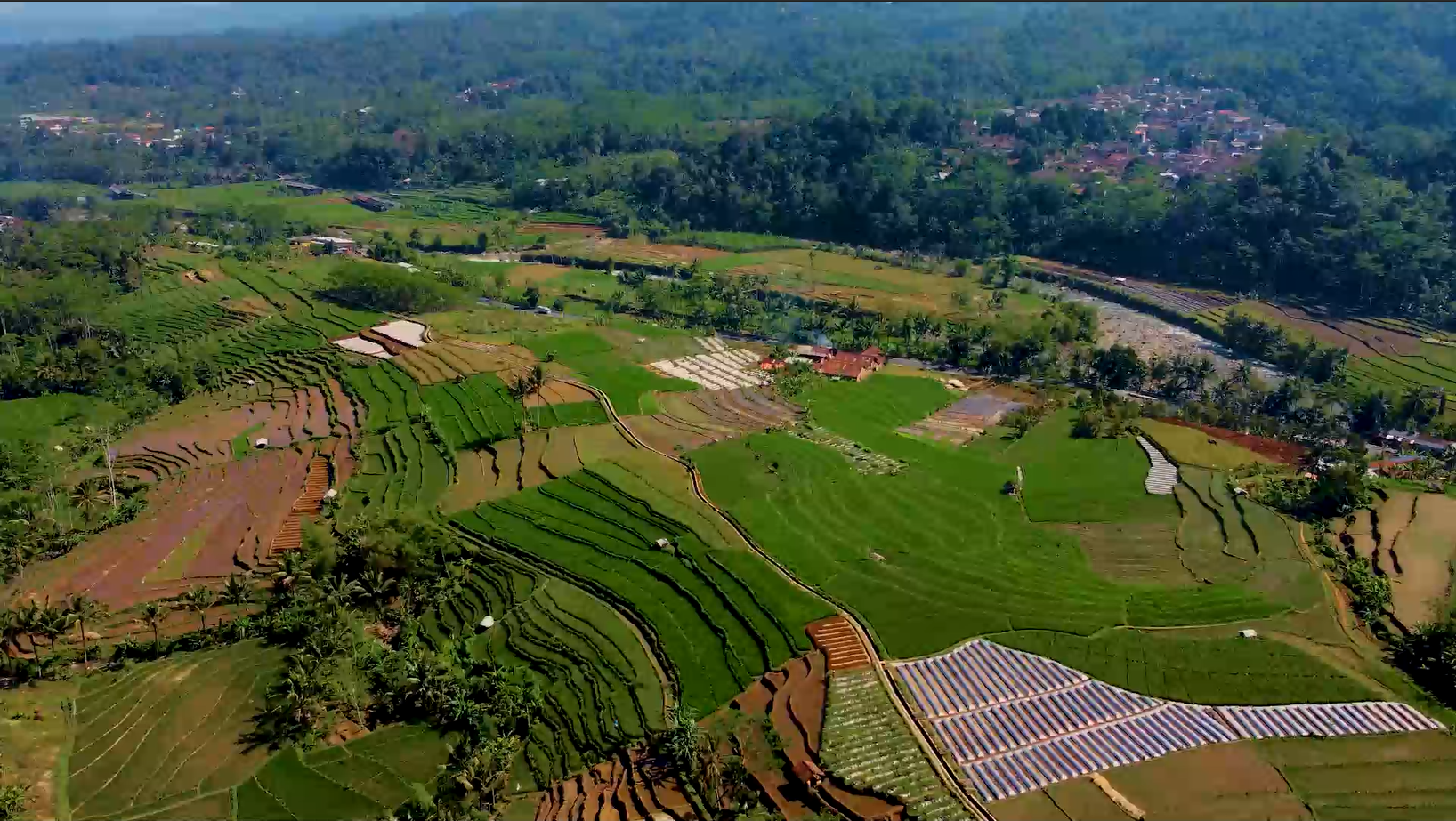 Sawah Desa